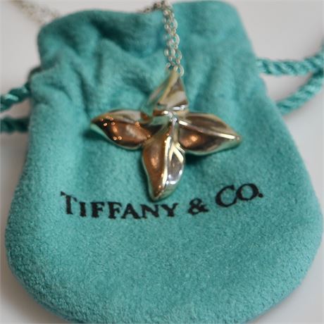 Tiffany & Co. Necklace