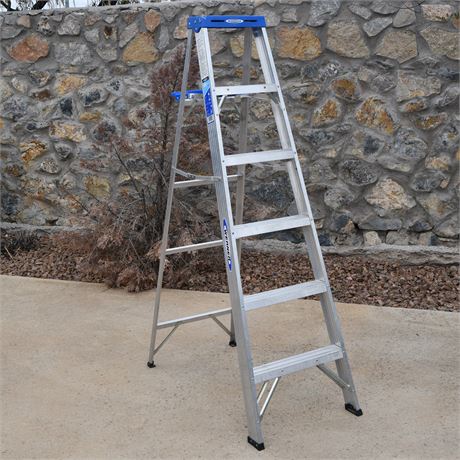 Werner 6 Ft Aluminum Ladder