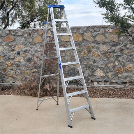 Werner 8 Ft Aluminum Ladder