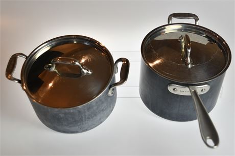 Pair of All Clad Pots