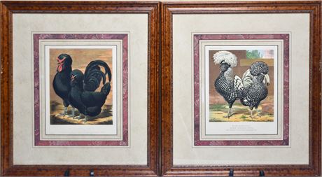 Pair of Antique Chromolithograph-Cassell's Poultry Book