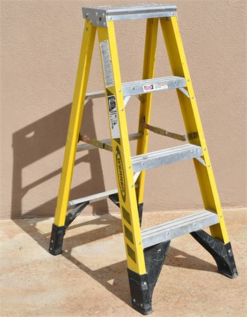 Werner 4' Ladder