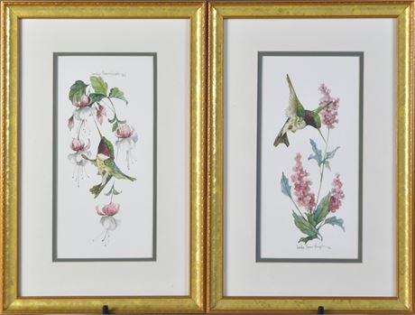 Framed Prints