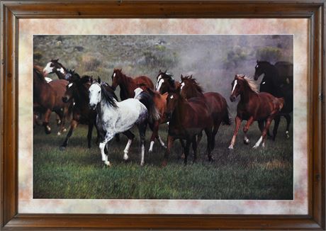 Framed Equestrian Photograph