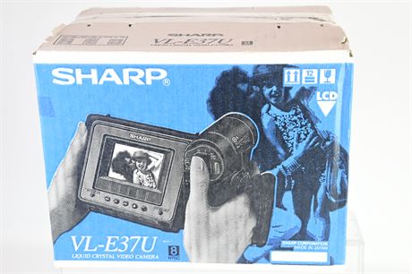 Sharp LCD VIdeo Camera