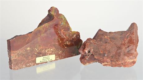 Arizona Petrified Rainbow Wood