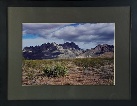 Framed Organ Mountain Photograph