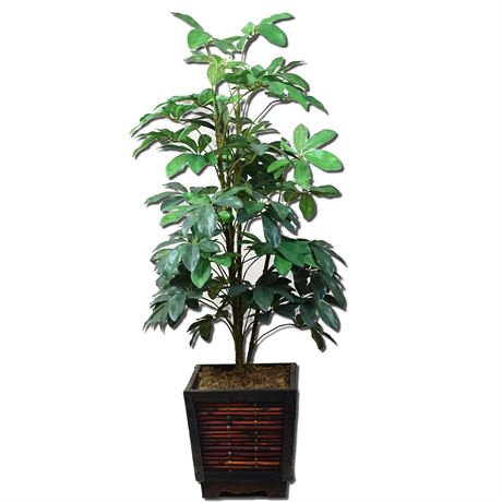 Faux Dwarf Umbrella Tree