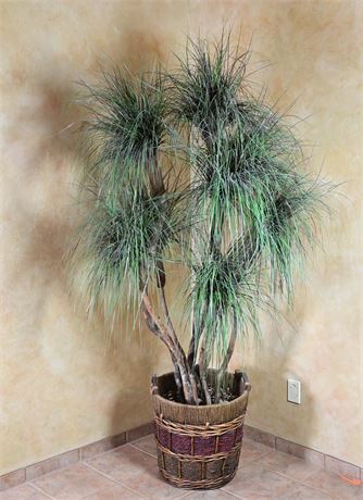 Faux Ponytail Palm