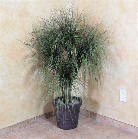 Faux Ponytail Palm