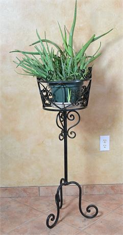 Wrought Iron Plant Stand