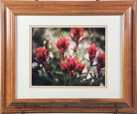 Framed Photograph