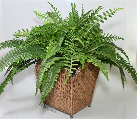 Faux Fern