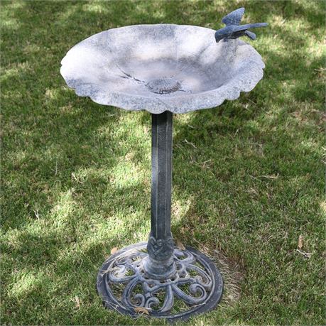 Bird Bath