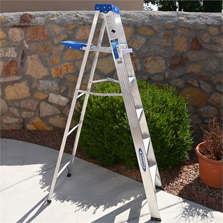 Werner 6' Ladder