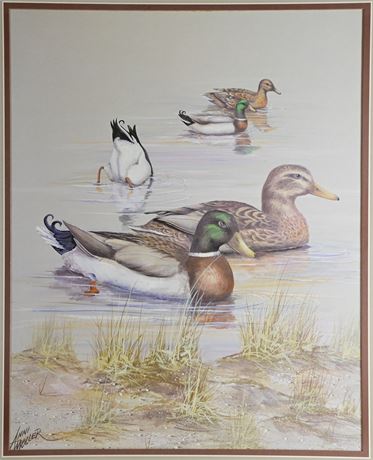 Moller Duck Print