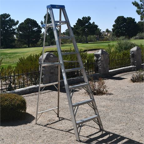 Werner Aluminum Ladder