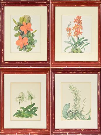 Set of 4 Floral Prints