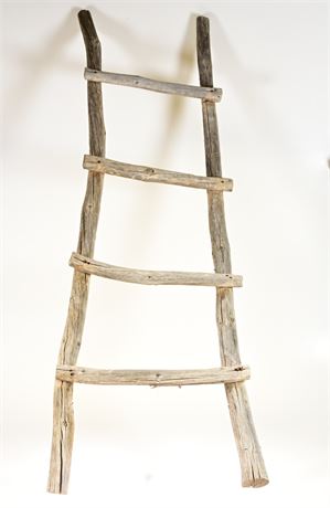 Weathered Kiva Ladder