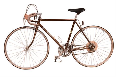 Vintage Sanwa Road Champion Bicycle