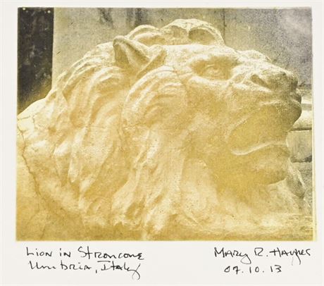 Lion in Stroncone Etching